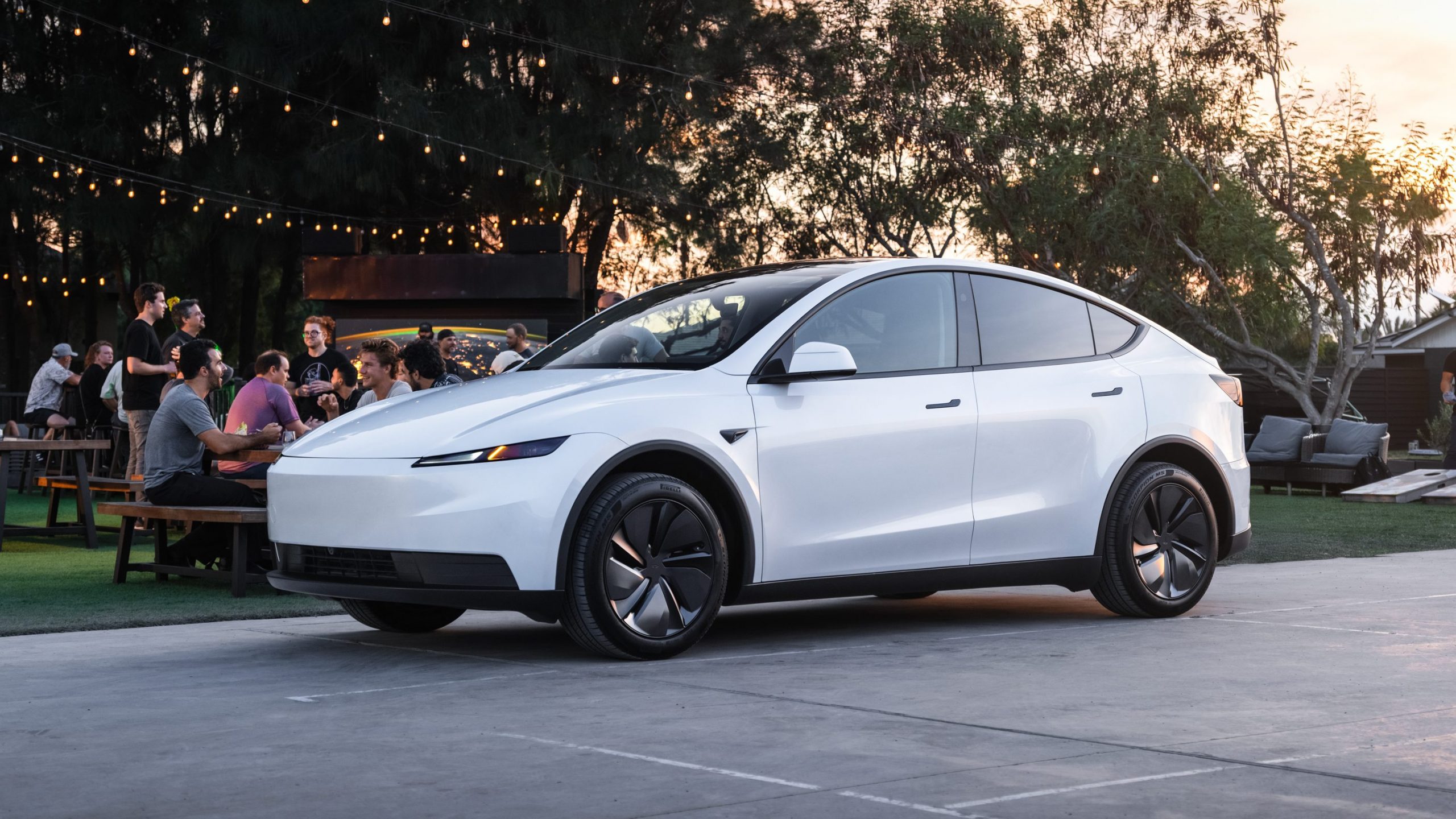 Model Y standard différences